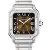 Cartier Santos de Cartier