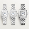 Cartier Panthère de Cartier